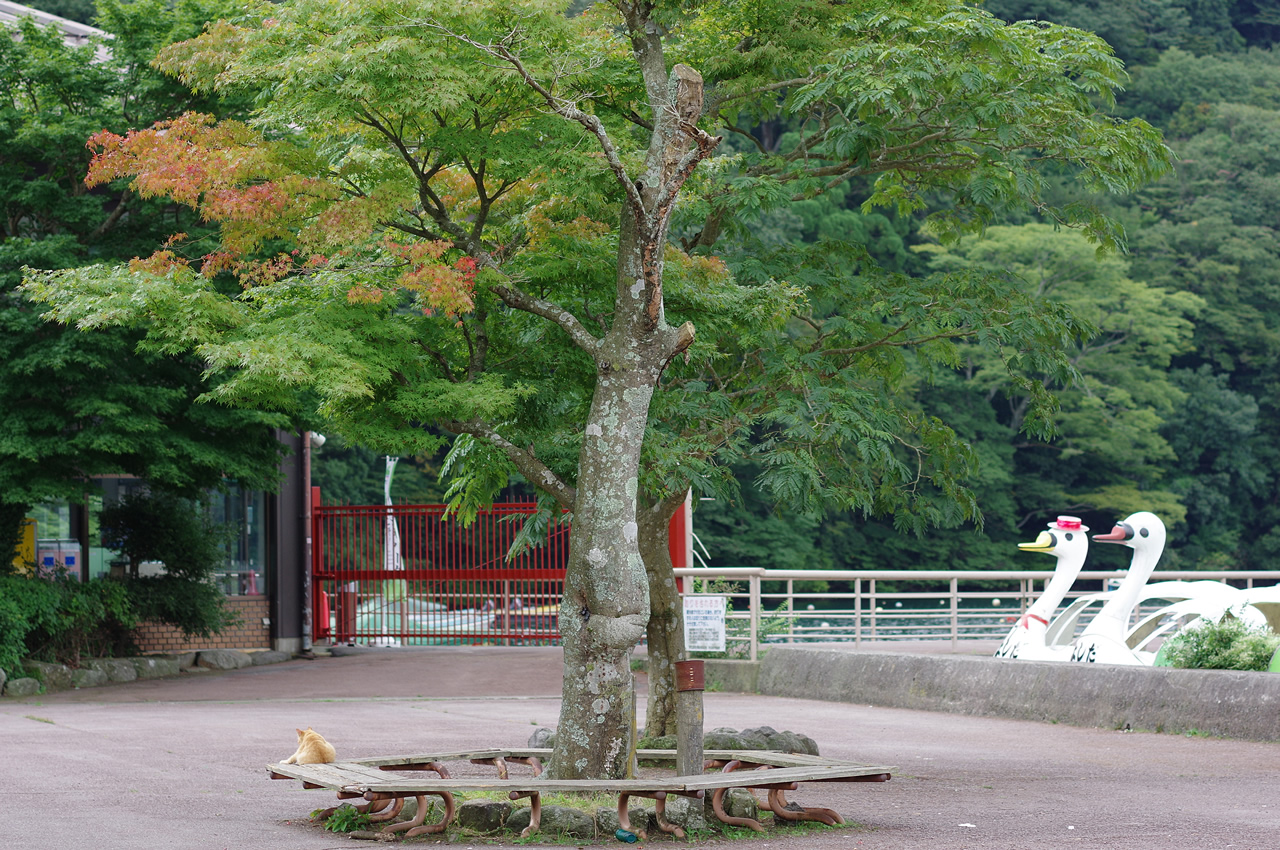 *FFか!