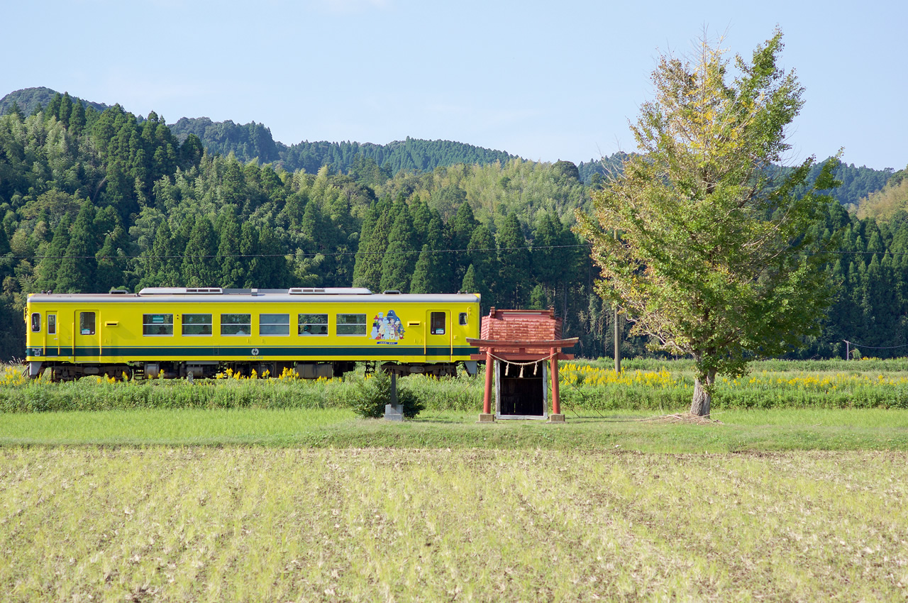*ムーミン谷へようこそ